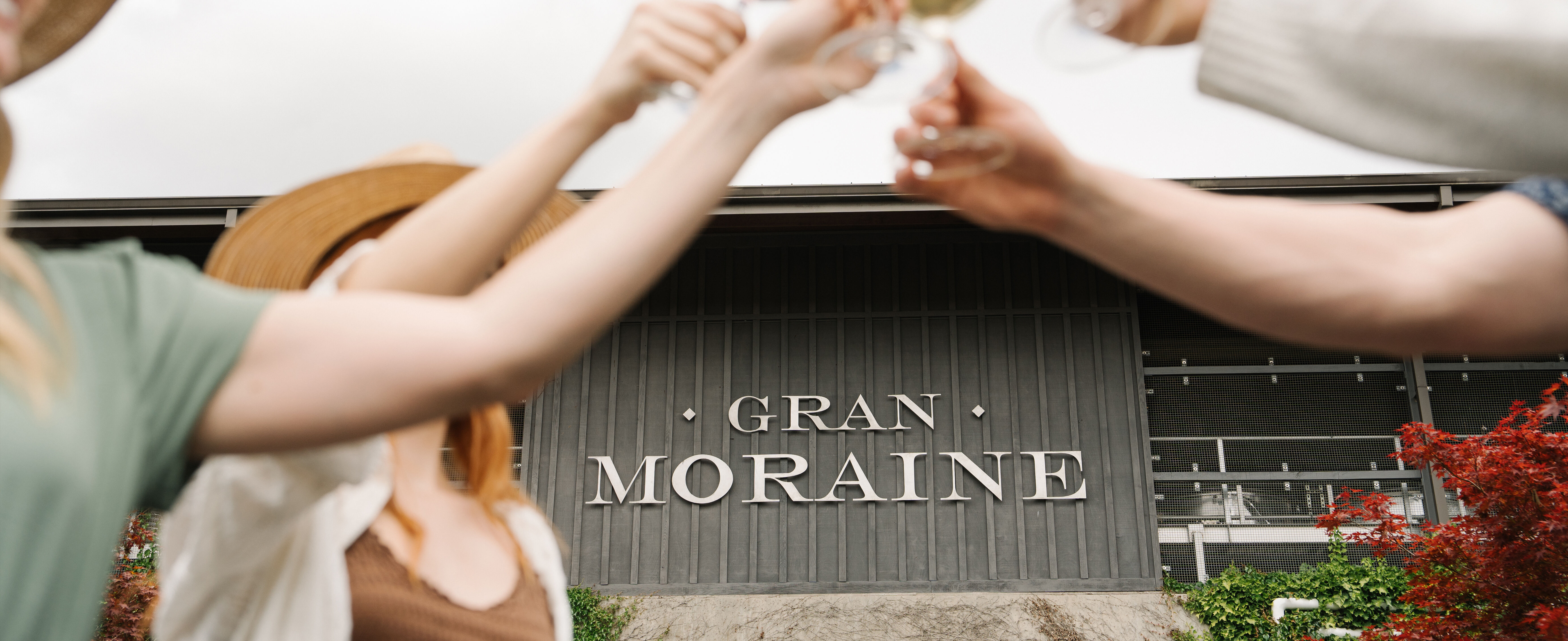 Group of people clinking wine glasses Group of people clinking wine glasses