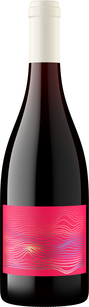 Flavorscape Gamay Noir